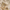 files/b58cfc8a198ad5242a186a8fee20367d_1.png